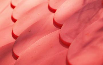 Ardeonaig plastic roof costs